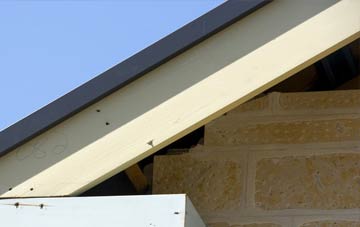 Norham West Mains fascia repairs